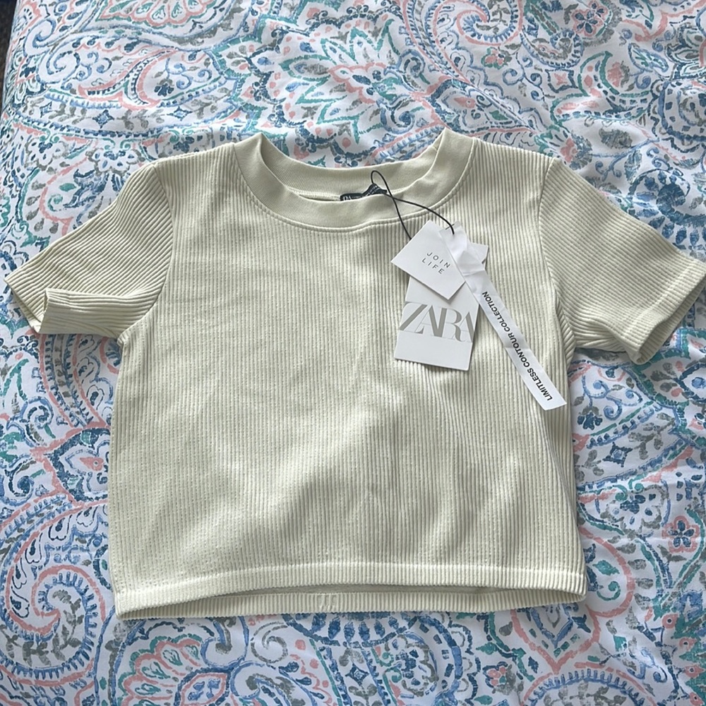 Zara crop top